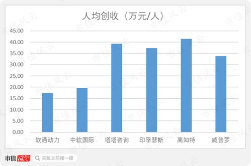 軟通動力 私有化后的曲折上市路，軟件外包巨頭能否借注冊制圓夢？